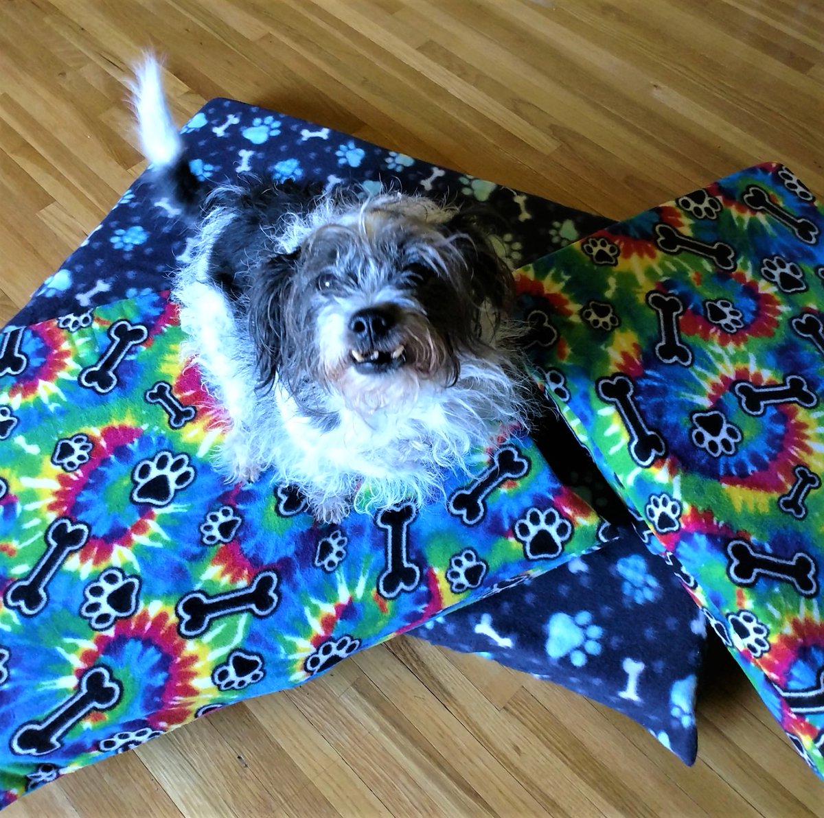Ruby wants to show you some of the super-cool handmade beds that are prizes in the Mutt Strutt this year! He couldn't decide which one he likes most, so he piled them on top of each other and settled right in for the photo shoot! facebook.com/events/5425541…