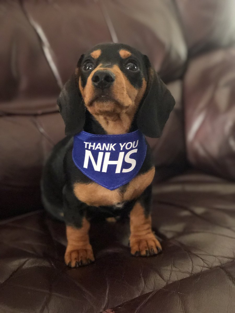 jaybird32510045's tweet photo. Thanks to all at Sutton Health &amp;Care https://t.co/gFiu7xCk4f