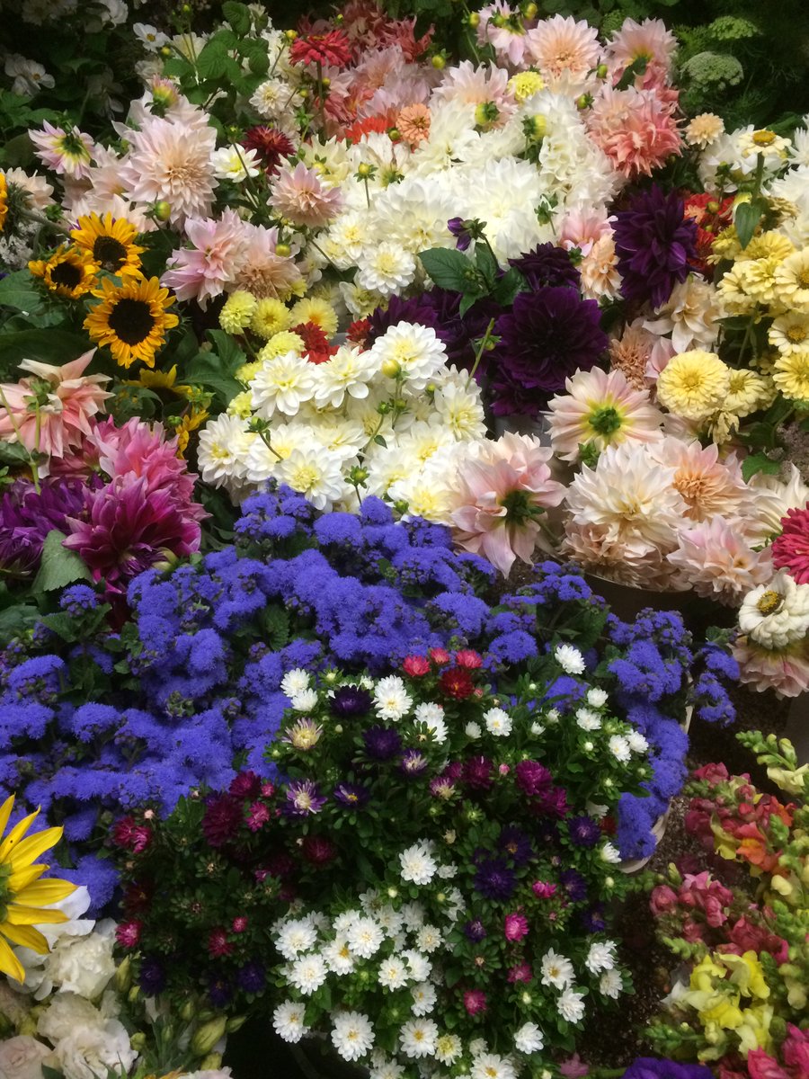 BlackFoxSpirits's tweet photo. 🌻🌻We’re giving away over 1000 buckets to our flower U-Pick this summer to people who have gone above and beyond lately. Want to nominate someone you know to receive a bucket? Check out our Instagram post to do so!🌻🌻

https://t.co/zAFPjUrZOT https://t.co/aZ8rKcBAbn