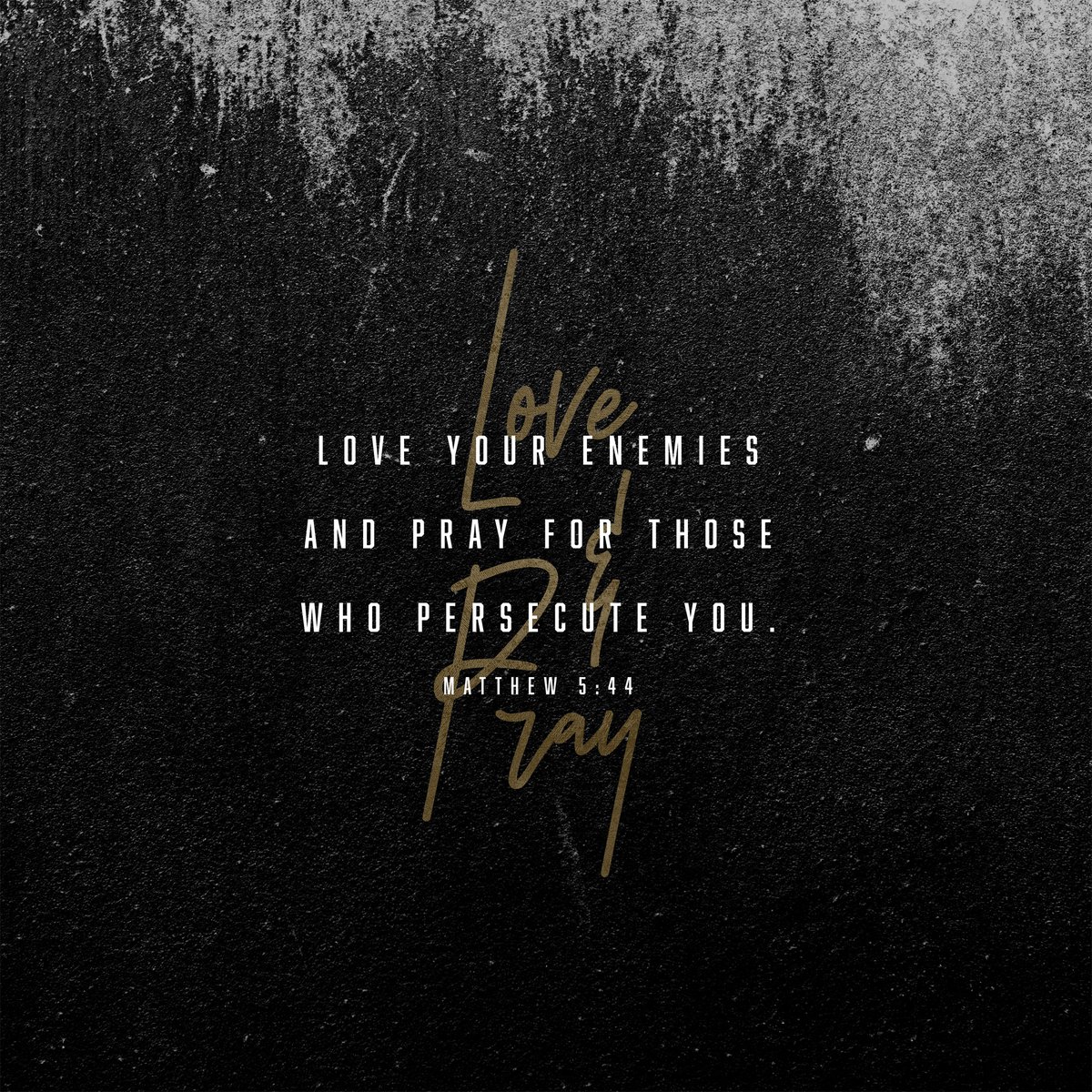 Fellowship of Wildwood tweet media