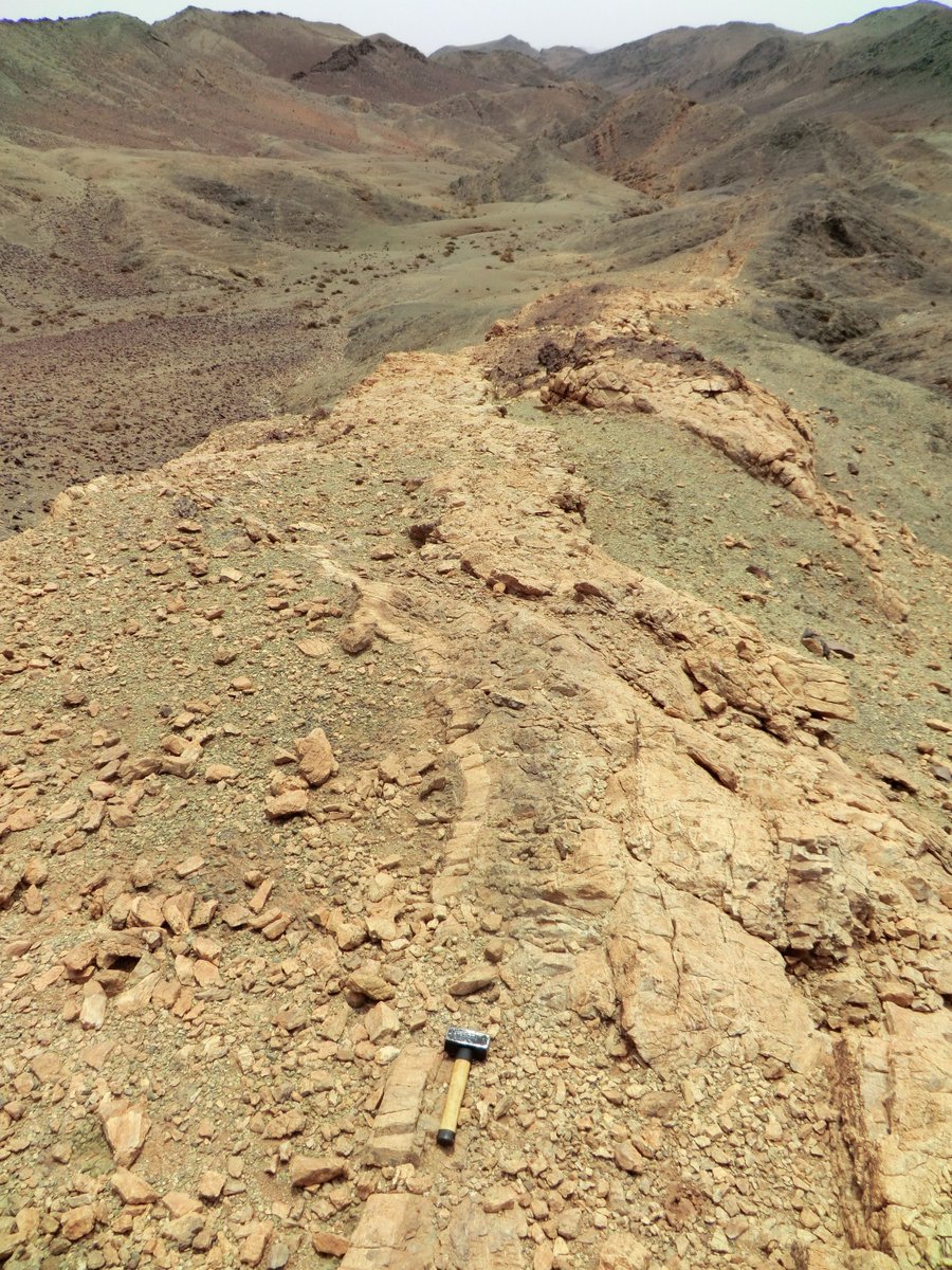 deep_sample's tweet photo. White-colored 10m-thick vein in highly serpentinized peridotite of the Bou-Azzer ophiolite
見渡す限りの蛇紋岩。その中に真っ白な岩脈のような。。。何者かはっきりしない、でも熱水系の活動を感じさせる
#フィールドに行くまでの妄想
#randomfieldworkphoto https://t.co/5hMZzzmKT8