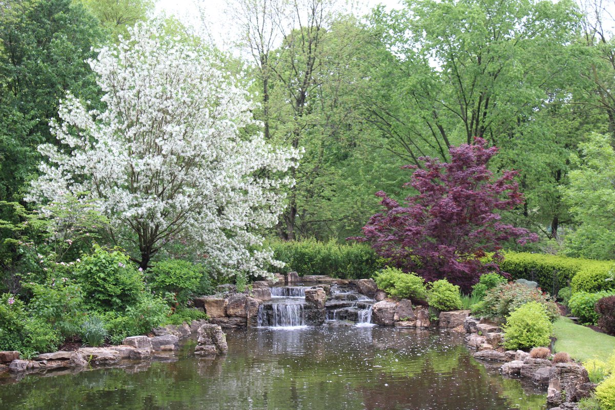 Landscape_STL's tweet photo. “Trees indeed have hearts!” -Henry David Thoreau https://t.co/cpWoB2fw1v