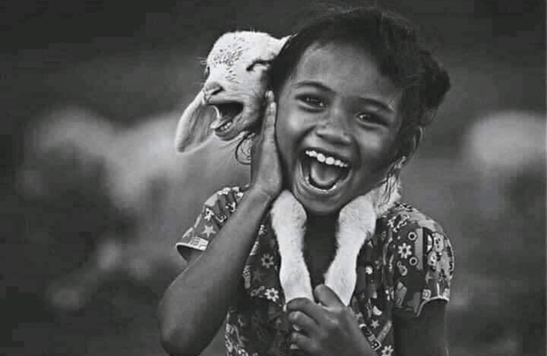 #جمال_ الروح هو الشئ الوحيد الذي يستطيع حتى الأعمى أن يراه.. فاللهم ارزقنا طيب النفس وجمال الروح ..