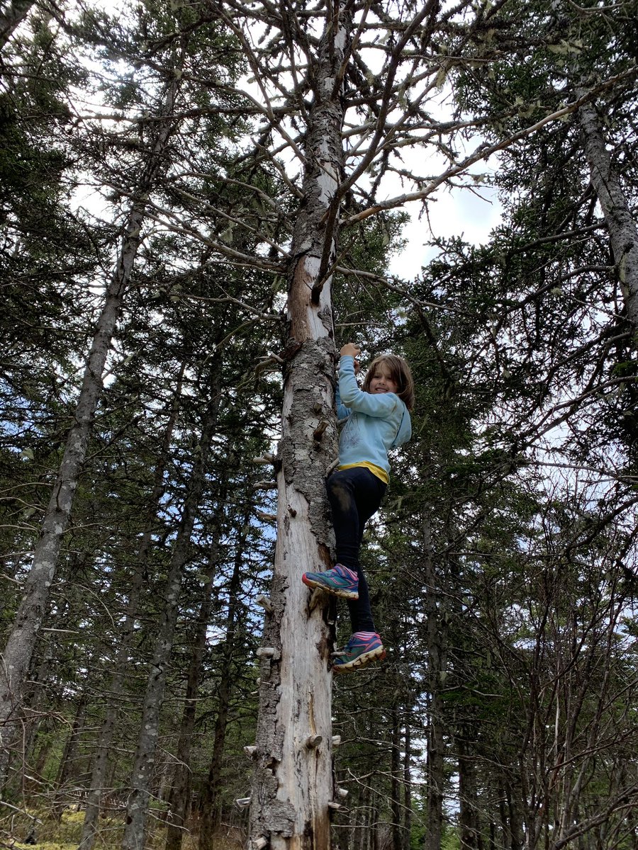 PESIC NL Theme for Physical Activity this week is ‘Outdoor Gym’. #pesicnlstaysafe ish. Representing CPP from Coley’s Point and Georgia’s gym teacher, Donna Churchill!