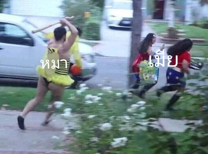 หมาจะเป็นแอคแหก @หมาร้อง tweet media