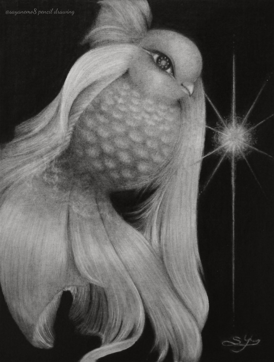 Twoucan 山田さやか Sayakayamada Sayanemo8