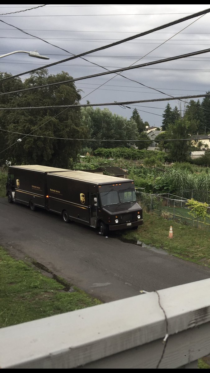 @HelloSemrick I, too, have witnessed this bizarre mating ritual near the wild community gardens of Seattle.