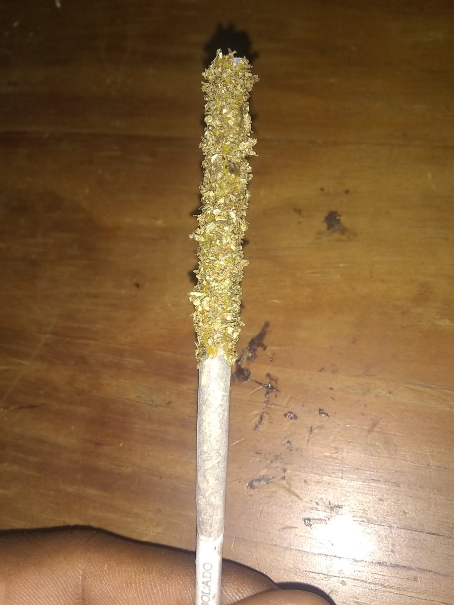LipeAndradee22's tweet photo. cannabilizado  🍁 https://t.co/wmhs2oBNJT