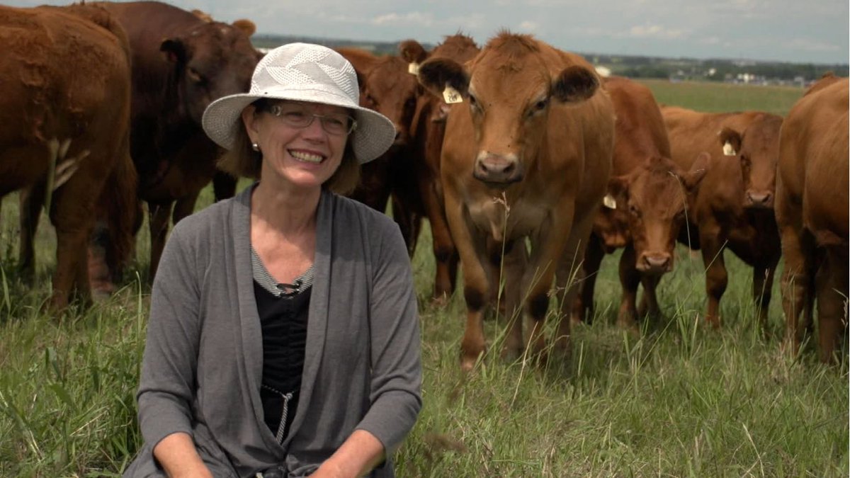 The full <a href="/CarbonCowboys/">Carbon Cowboys</a> documentary series is now live! You can watch all 10 episodes following the land managers who are moving #regenerativeagriculture forward. Tell us what you think! ow.ly/uv7j50zNhlm #ClimateChange