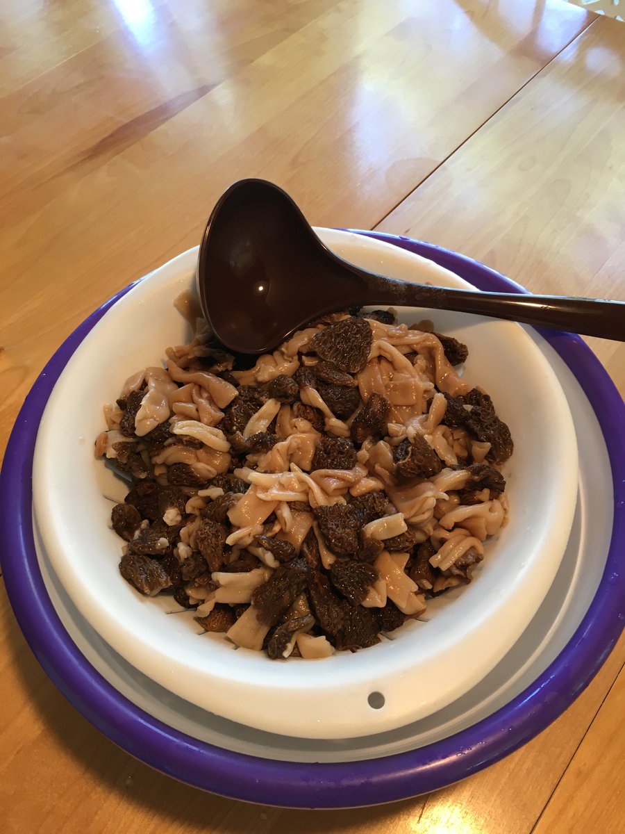 NancyLovenjak's tweet photo. After a glorious week at the cottage, we foraged the 3 F’s- fish, fiddleheads and fungi (morels and Milan)! Such an amazing time!!! #buffalopoint #beautifulmanitoba #iloveretirement https://t.co/ztD06HaAu4