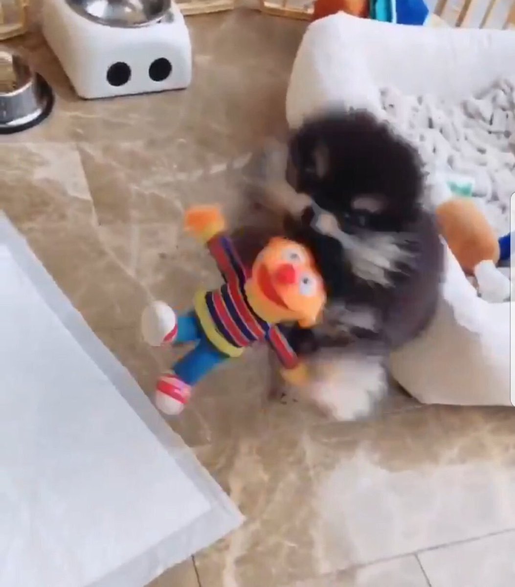 Tannie playing with one of jungkook's dolls 