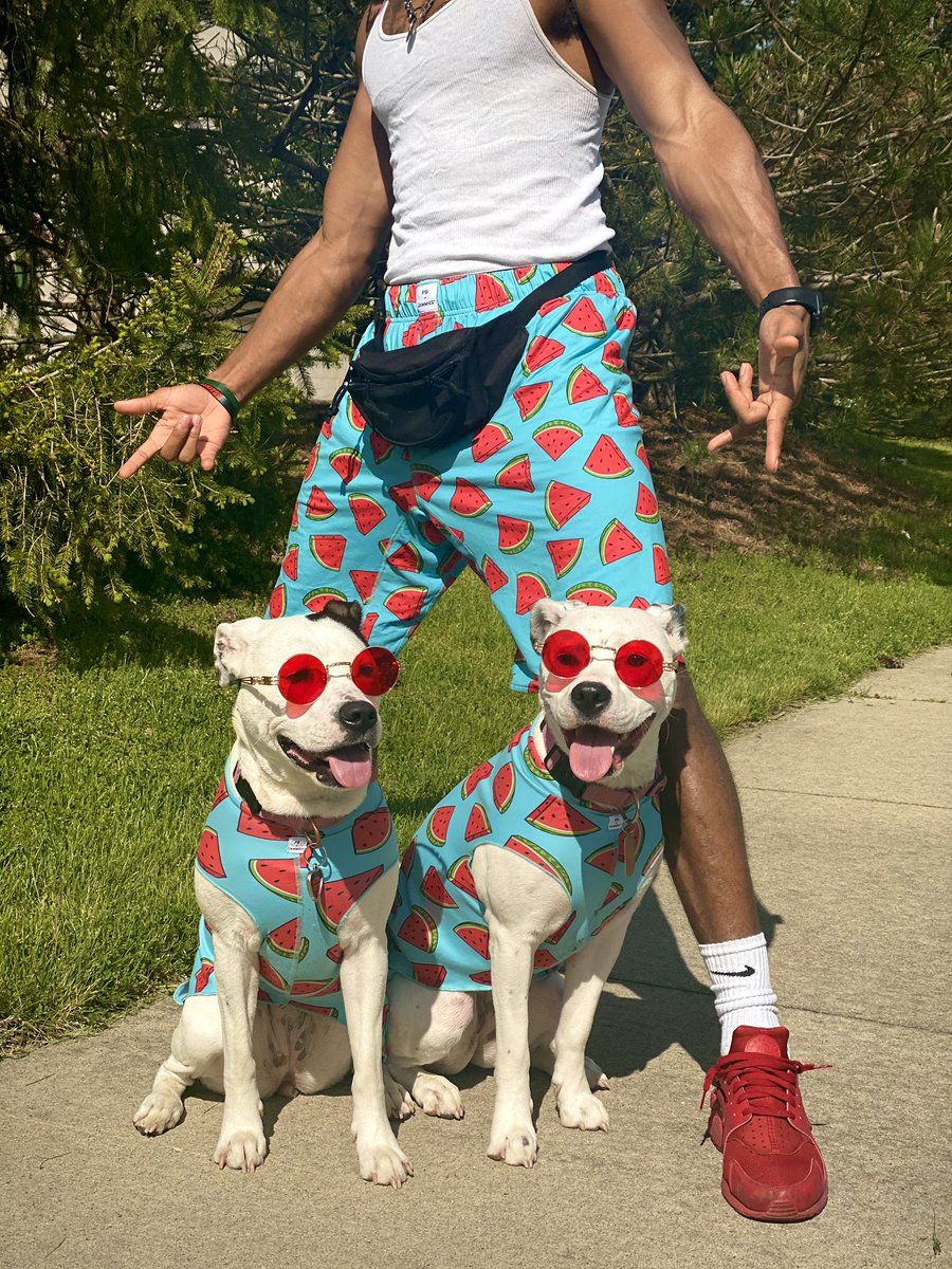 Josh Butler 31sland 🏝️ tweet media