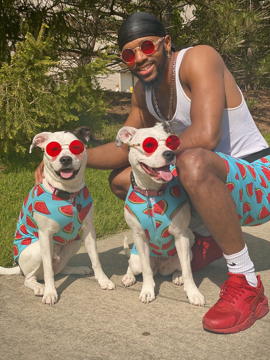 Josh Butler 31sland 🏝️ tweet media