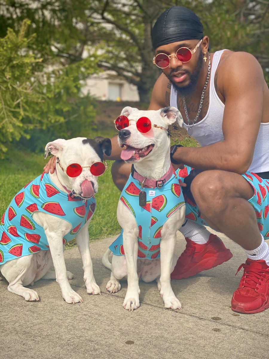 Josh Butler 31sland 🏝️ tweet media