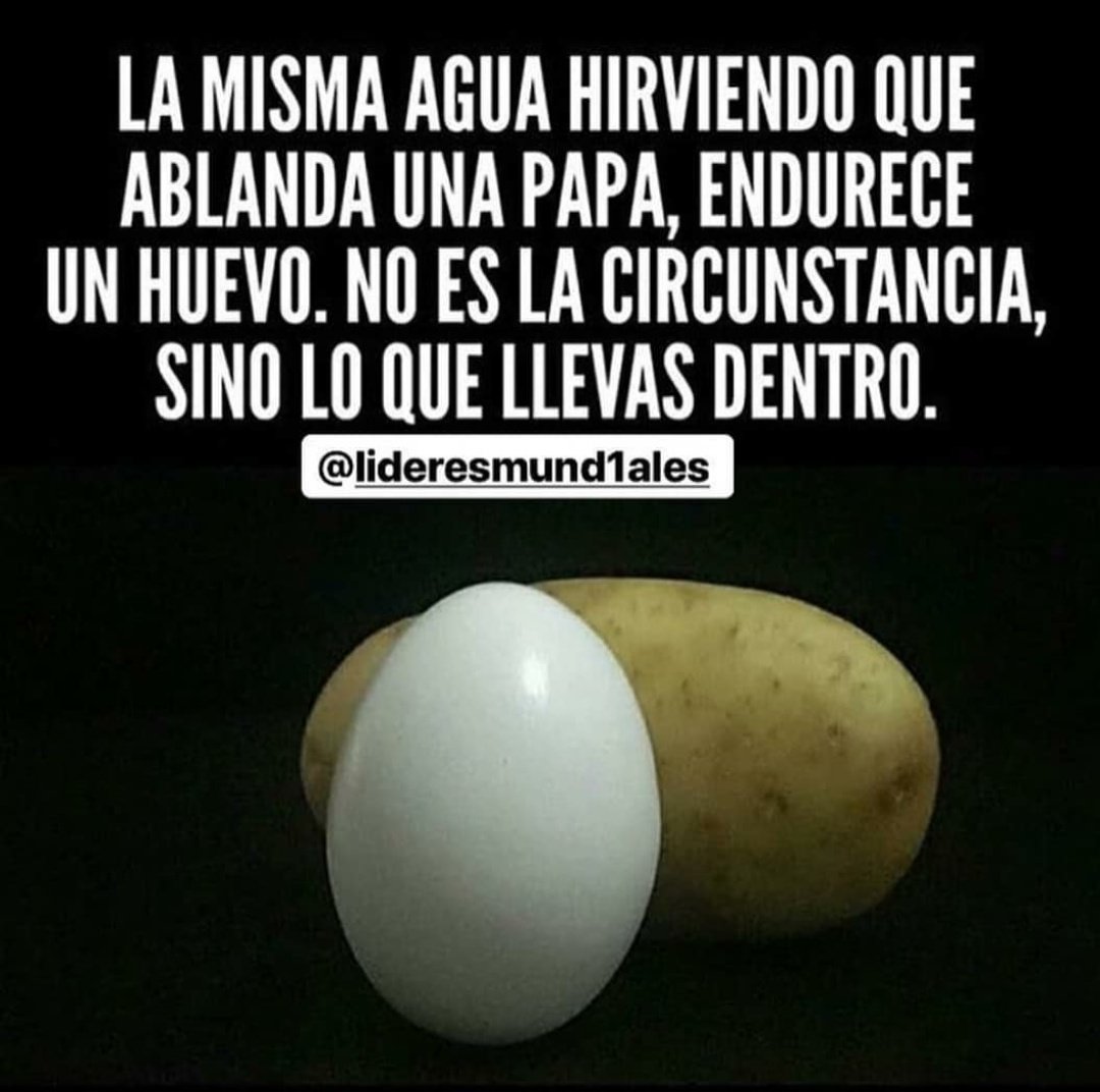 ArabellaRuiz's tweet photo. Actitud frente a la realidad!! ♥️ https://t.co/ORCiTIrAW0