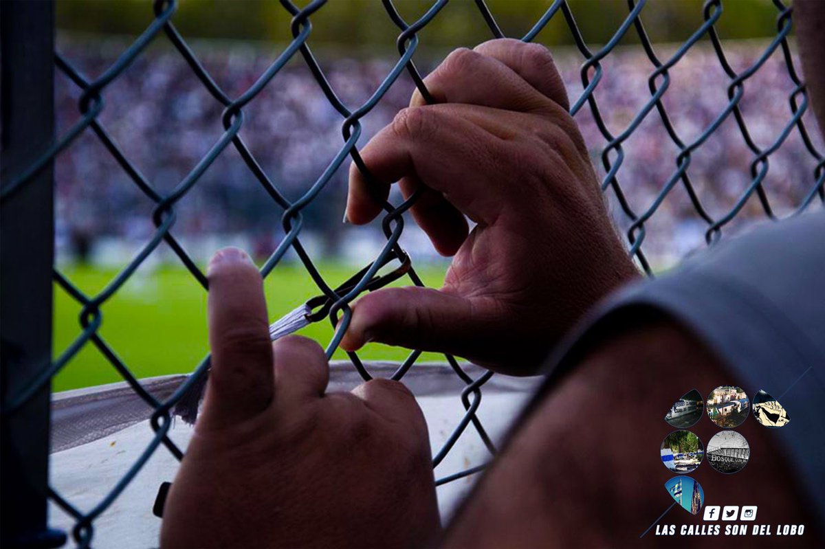 LCSD_Lobo's tweet photo. “La hinchada más fiel del mundo” Filial Necochea Ariel Alonso | #CGE #GELP #LasCallesSonDelLOBO https://t.co/ZcU7tc4ut6