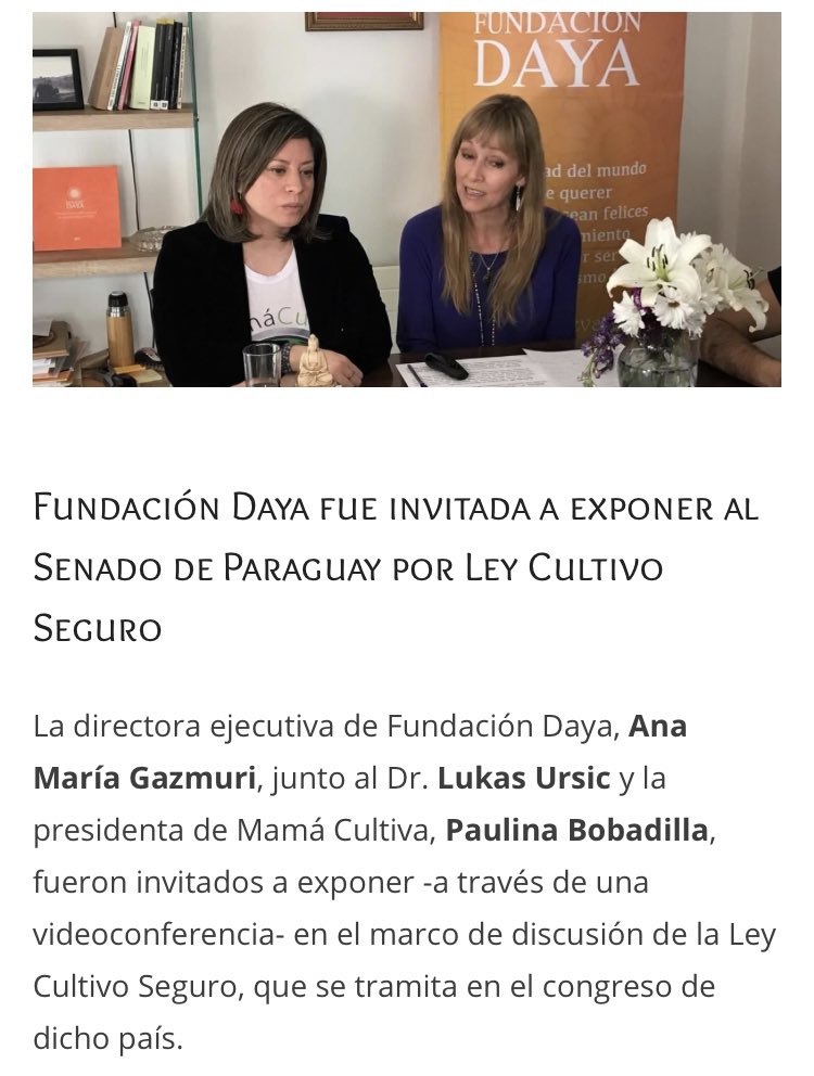 FundacionDaya's tweet photo. PARAGUAY: Recién se acaba de aprobar en @SenadoPy la #LeyCultivoSeguro; tuvimos el honor de colaborar.Tremendo éxito de la comunidad cannábica latinoamericana.Esta ley se inspira en proyecto  #CultivoSeguro aprobado en Chile por 88% de @Camara_cl que hoy duerme en @Senado_Chile https://t.co/oupJwwuIfq