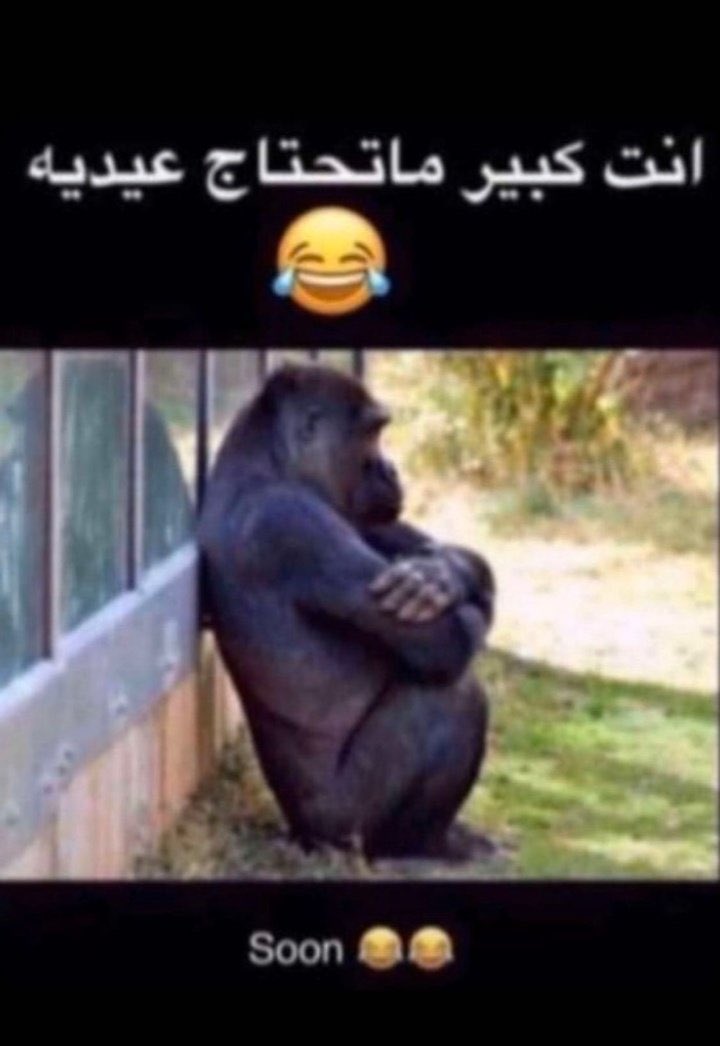 999___711's tweet photo. @r0odr هههههههههههه  كذا يقولون https://t.co/Eu7TJk3EWb