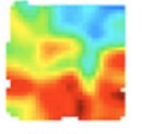 Nacho Sanguinetti🥸 tweet media