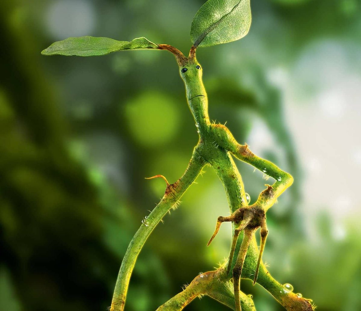 лукотрус пикетт. лукотрус пикетт. лукотрусы. лукотрус пикетт. лечурка фантастические твари.