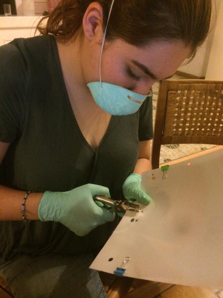 Coronavirus Makers Mx tweet media