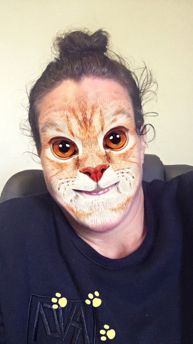 LornaBremner's tweet photo. Cats are super cute #cuteanimals #love #dreambig #nofilter https://t.co/m8ToRoe9hA