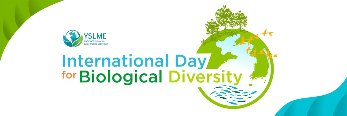 Together, let’s arrive at solutions that are centered on nature and biodiversity as the key basis for our sustainable future. Our solutions are in nature. Happy International Biodiversity Day! Read more of YSLME’s message via this link: yslmep.org/?p=3767