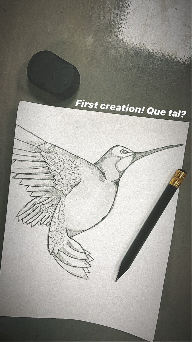 Bueno, cuando empecé la cuarentena dije que iba a pintar algo! Aquí el primero, por fin me anime.  Gracias a una reunión de esas de zoom que uno toma apuntes!! Que tal <a href="/MemoGomezFoto/">Memo Gómez (Fotógrafo de Naturaleza)</a> vos me inspiraste!