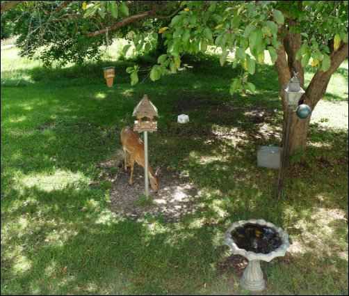 HomesteadOrg's tweet photo. Attract #Wildlife to Your #Property - #homestead #landscaping #attractwildlife #nature #NaturePhotography #wildlifephotography #WildlifeConservation #wildlifefrommywindow #attractingbeneficials #beneficialbugs #deer #birds #Butterflies https://t.co/hqOTKnS7kF https://t.co/a0cCygLMjU
