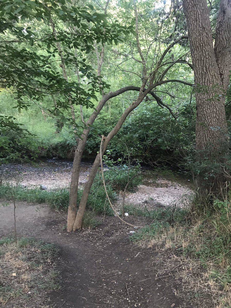 Ms_Porras's tweet photo. Some nature for your feed. 💜 https://t.co/7CRvmz0PKR