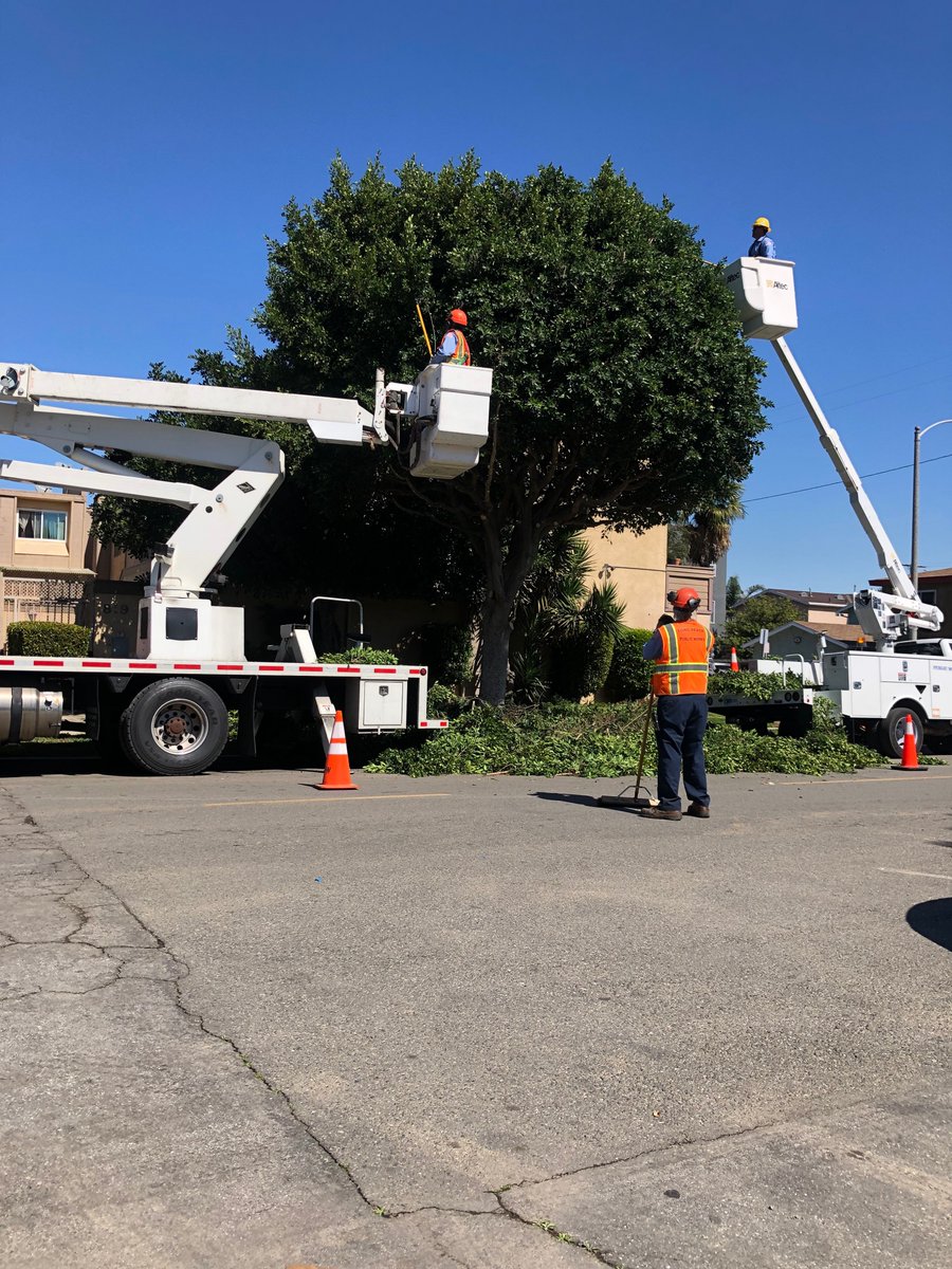 LBPublicWorks's tweet photo. Our #LongBeach tree maintenance crews have their work cut out for them caring for our City's approximately 94,000 street trees. #NPWW 🌳 🌴 🍃 https://t.co/fZSluwQd93