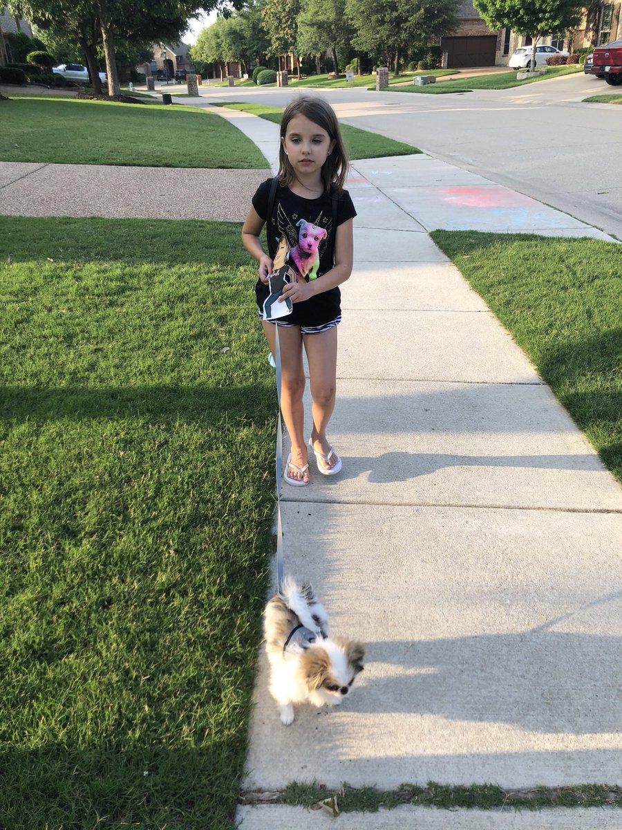 amcnallyMRS's tweet photo. ⁦@CoolMrsPool⁩ is going for a walk on this wonderful evening! #TeamMinshew https://t.co/ezjrQEDcit