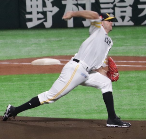 Hiisan_n423's tweet photo. Vandy HAPPY BIRTHDAY🎁🎂
#sbhawks #vandy44
@rickvandenhurk
#リック・バンデンハーク https://t.co/YhtKfKIe2V