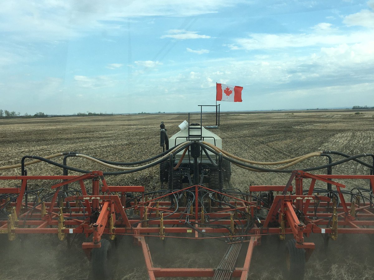 blue_unrau's tweet photo. I was feeling a little patriotic today. #plant2020 #RCAFsnowbirds #truenorthstrong #feedtheworld #GodblessCanada https://t.co/svo9IcFGrS