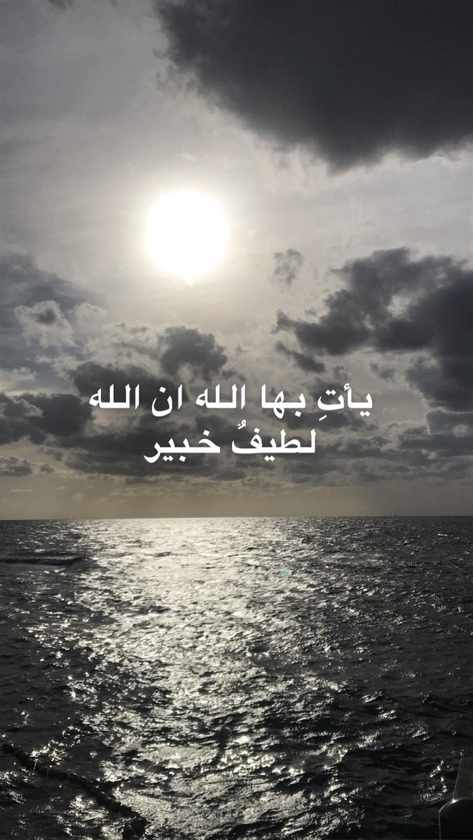 hebaosta2's tweet image. 