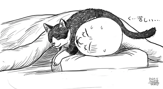 早朝、猫がいつも安眠妨害するんですが
最近横向きに寝てると猫が首に覆いかぶさってきます。
嬉しいような苦しいような。
安眠はできません。

犬も可愛いですが猫も可愛いですよ????
#farmertime 