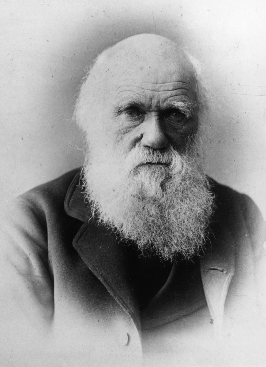 With respect to the theological view of the question; this is always painful to me— I am bewildered. Darwin to Asa Gray, 22.5.1860. This  #DarwinOnThisDay is worth repeating in full: 1/6