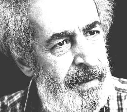 Bir çağın son çeyreği yanlış kurmuş denklemi
Patikayla dağları ayrı şeyler sanıyor
Acıyı unutuyor hesaba katmıyor toprağın belleğini

Ey yaraları sağaltan zaman ey kalbim
Tez elden hükümsüz kıl kalıcı olmasın bu şiirim

#hicriizgören