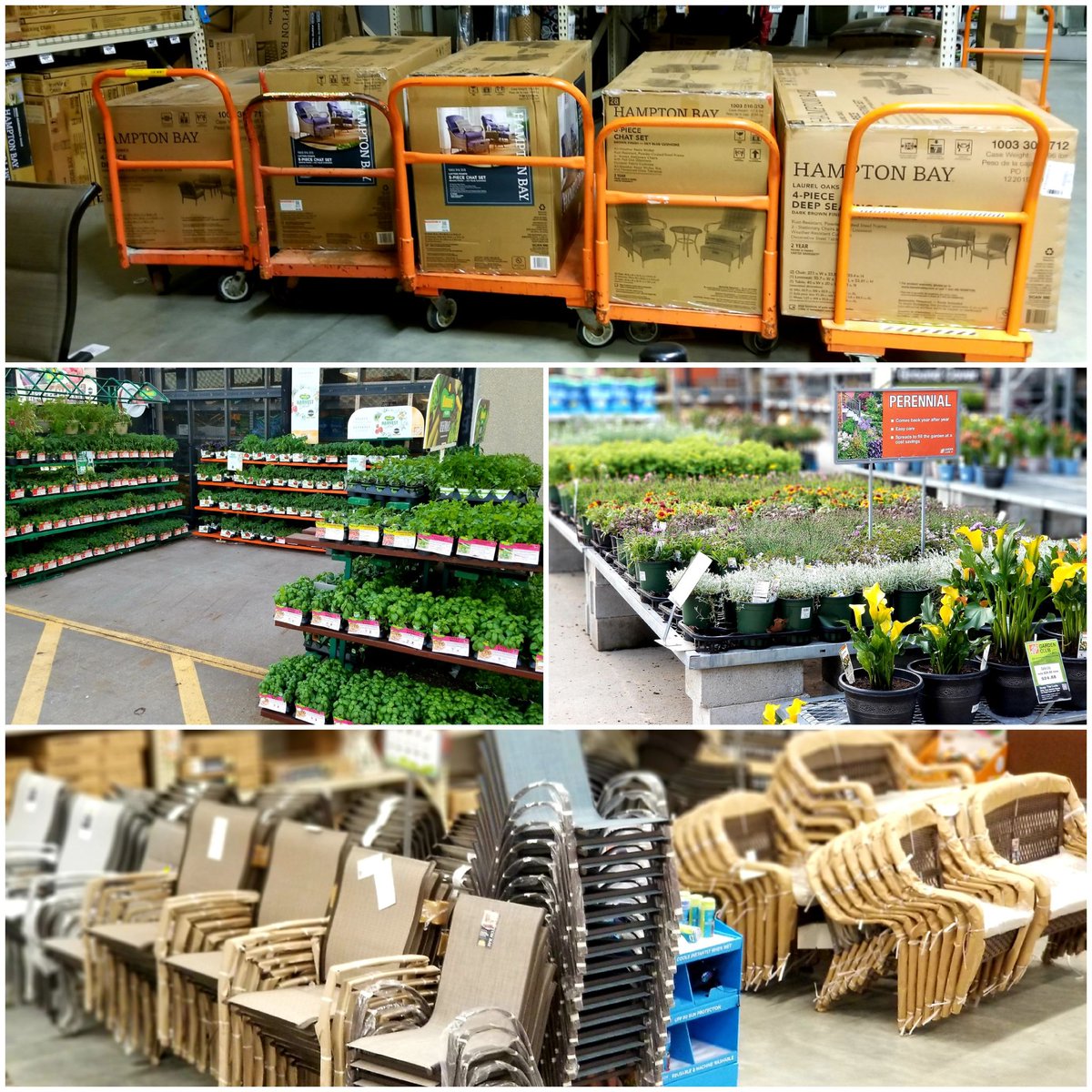 Montville Home Depot tweet media