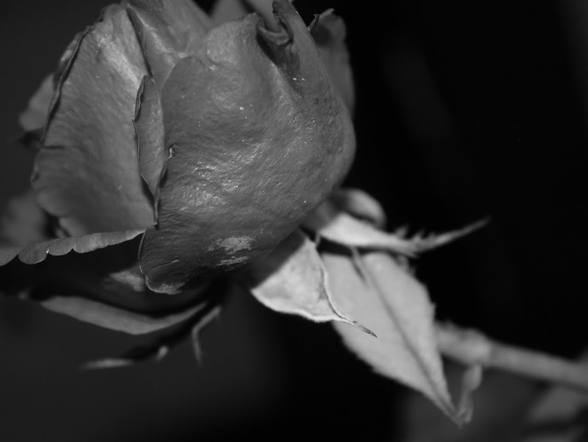 Pugacheva uy qurilishi jinsiy aloqa video