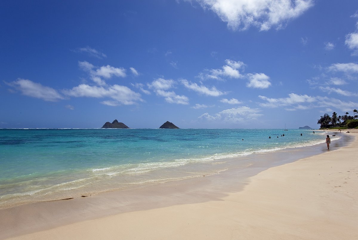 TrinityHawaii's tweet photo. This charming Hawaiian style Beachfront home offers breathtaking views of Lanikai Beach, turquoise water and the Mokulua Islands!

Explore our website for more Property details and photos 
https://t.co/UI5QETdbva https://t.co/mkfa4SEsDn