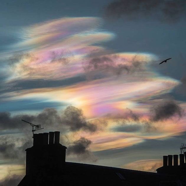 WeShallRise144K's tweet photo. They Are Here! Welcome Brothers and Sisters of The Light! #HeavenlyHost #5D #RadionicShips #RadionicClouds #MerkabaLightShips #WeAreOne https://t.co/A9bwzTsya8