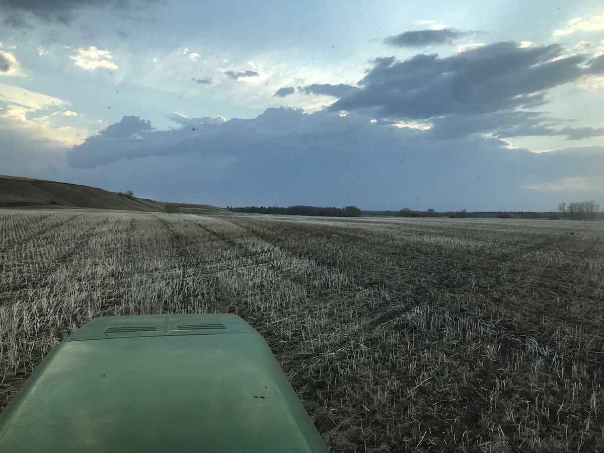 Kris Cherewyk PAg CCA tweet media