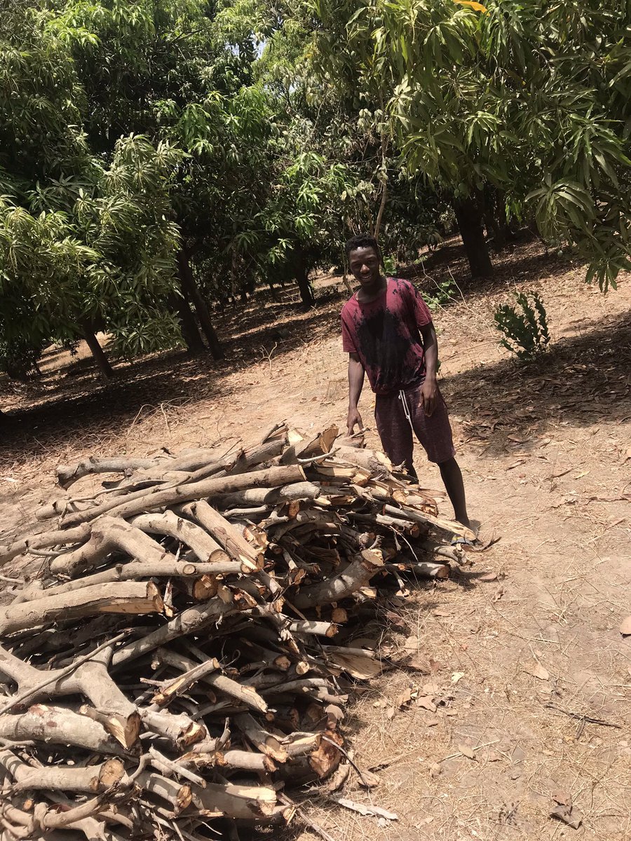 adama32316814's tweet image. 