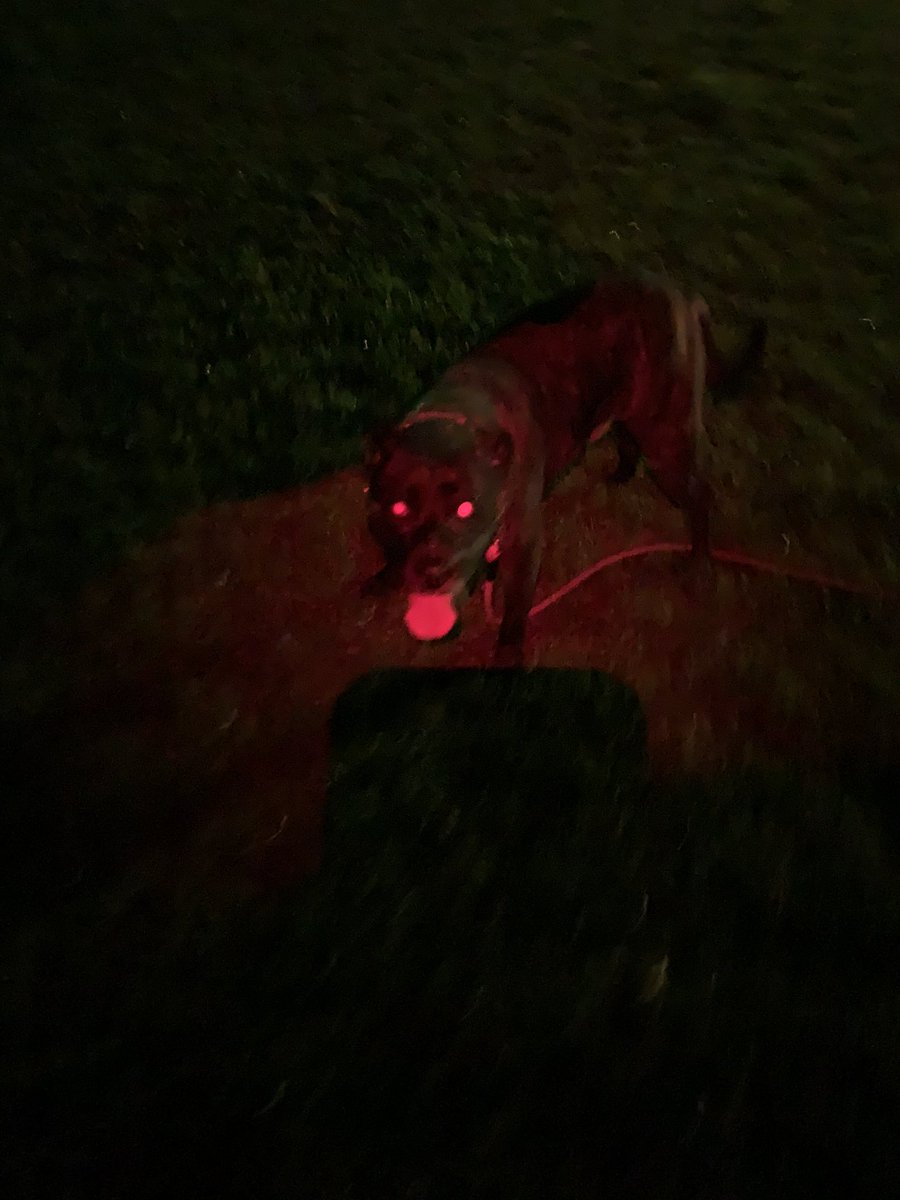 madmacx71's tweet image. @wralweather @WRALOutandAbout Kinda muggy but not raining type o night with the Odin!#zeromasks