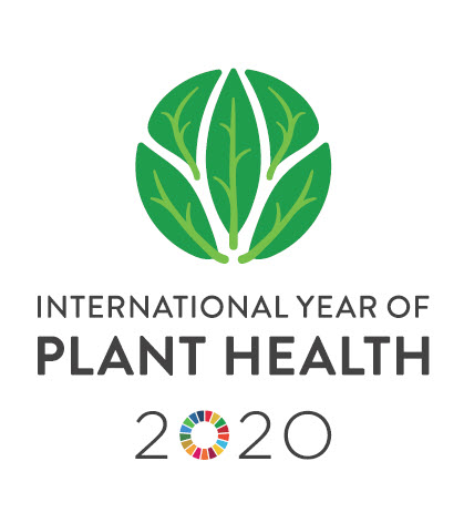 WorldVegCenter's tweet photo. 2020 is the International Year of Plant Health! READ this thoughtful article by @HopeJahren reminding us that plants get #viruses, too: https://t.co/Wq4FEHevgn #PlantHealth #IYPH2020 #FAO @mvanzonneveld @AgroBioDiverse https://t.co/UkyNGyvE1E