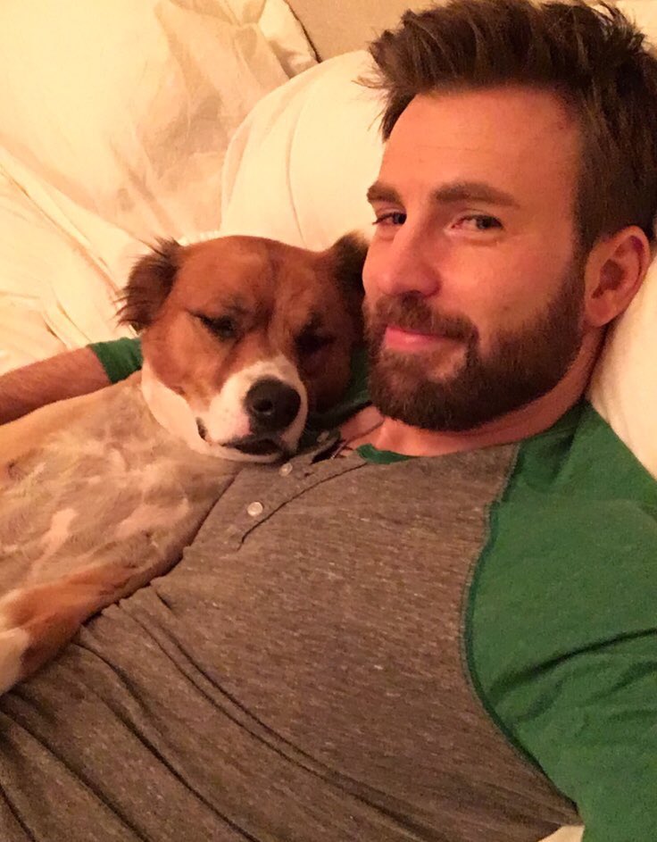 lunajcarranza's tweet photo. Definición de amor puro entre una mascota y su dueño 💗
#chrisevansisoverparty https://t.co/rjbYqgqfTJ