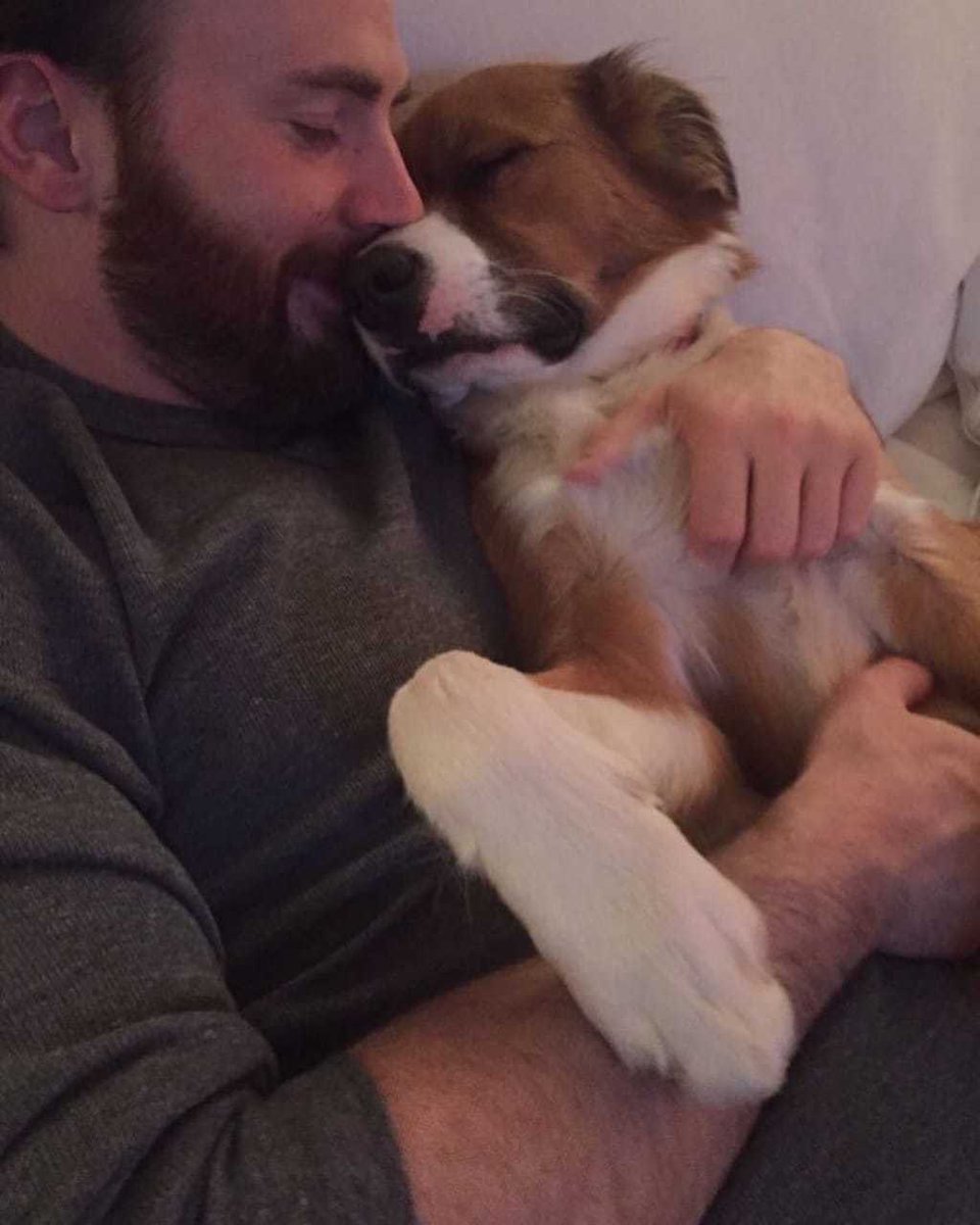 lunajcarranza's tweet photo. Definición de amor puro entre una mascota y su dueño 💗
#chrisevansisoverparty https://t.co/rjbYqgqfTJ