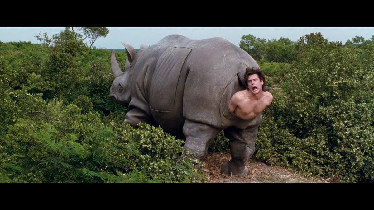 110. Ace Ventura: When Nature Calls (5/10)