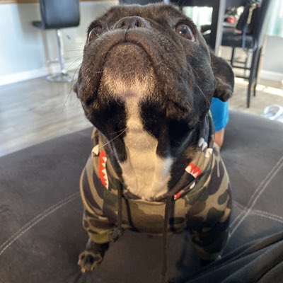 ReedmanChris's tweet photo. #NewProfilePic https://t.co/fX77T3HJDi